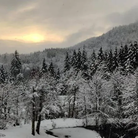 L'escapade Pleine Nature Bain Nordique 6 Personnes Alpesi faház Rupt-sur-Moselle